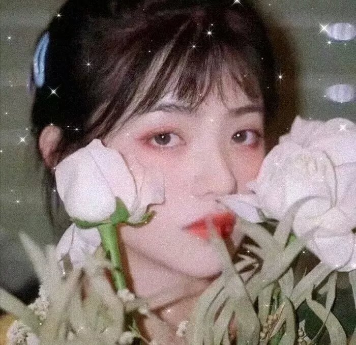 蛇气